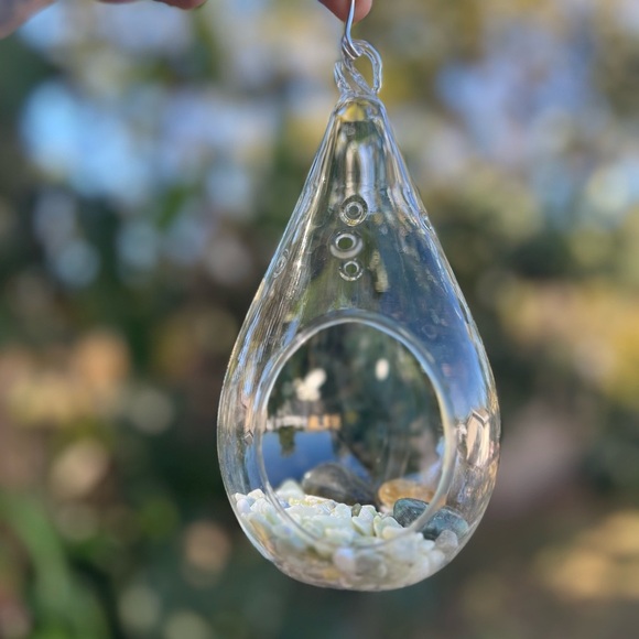 7” Glass Hanging Air Plant Terrarium - Teardrop Shape - Picture 3 of 8